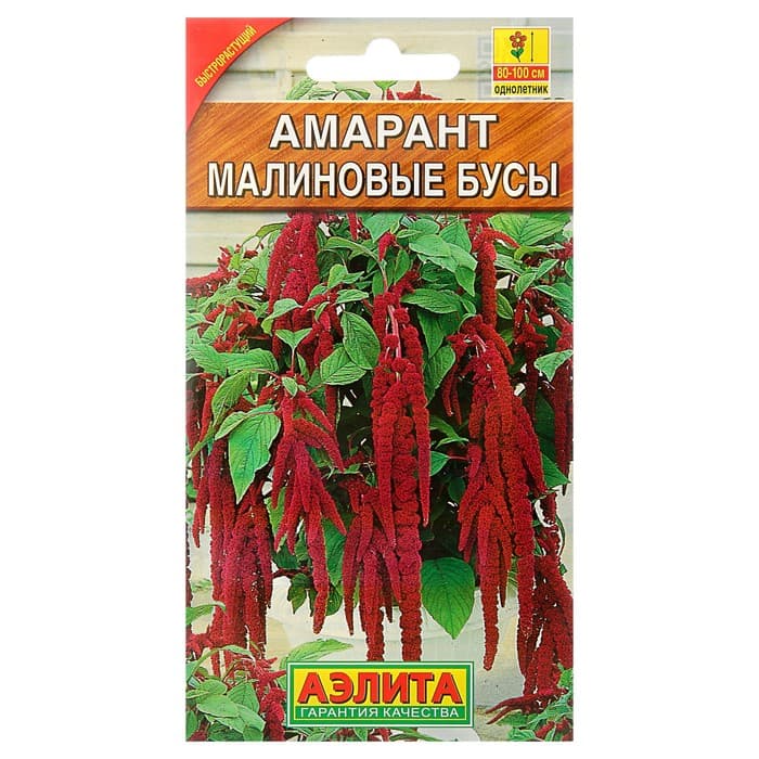 Семена цветов Амарант «Малиновые бусы», однолетник, 0.2 г, «Агрофирма АЭЛИТА»