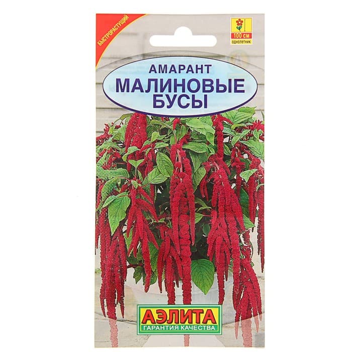 Семена цветов Амарант «Малиновые бусы», однолетник, 0.2 г, «Агрофирма АЭЛИТА»