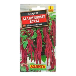 Семена цветов Амарант «Малиновые бусы», однолетник, 0.2 г, «Агрофирма АЭЛИТА»