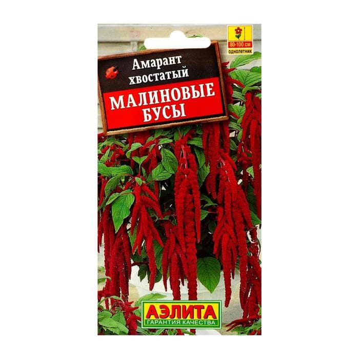 Семена цветов Амарант «Малиновые бусы», однолетник, 0.2 г, «Агрофирма АЭЛИТА»