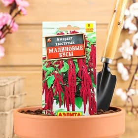 Семена цветов Амарант «Малиновые бусы», однолетник, 0.2 г, «Агрофирма АЭЛИТА»