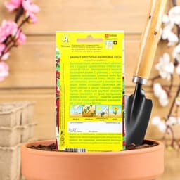 Семена цветов Амарант «Малиновые бусы», однолетник, 0.2 г, «Агрофирма АЭЛИТА»