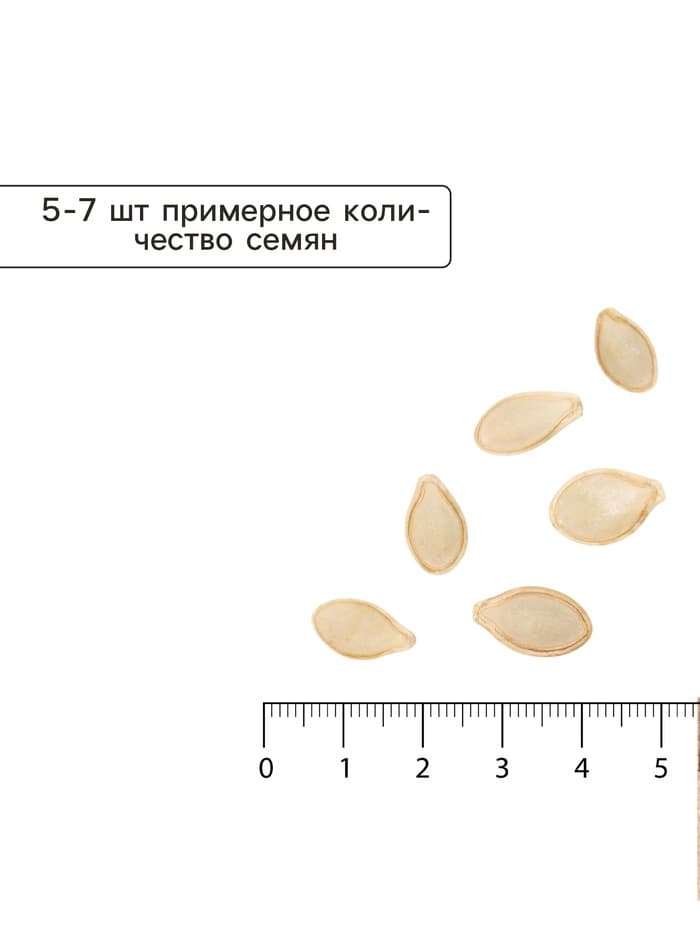 Семена Кабачок цукини «Щедрый богатырь», 1 г, раннеспелый, «Аэлита»