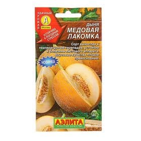Семена Дыня «Медовая лакомка», 1 г, «Аэлита»