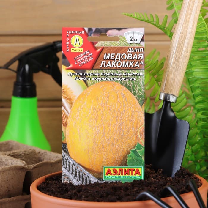 Семена Дыня «Медовая лакомка», 1 г, «Аэлита»