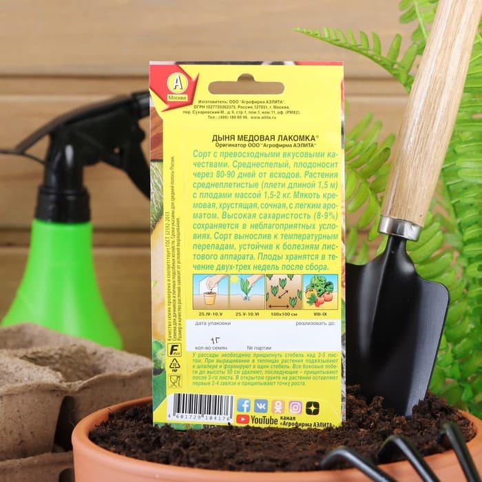 Семена Дыня «Медовая лакомка», 1 г, «Аэлита»