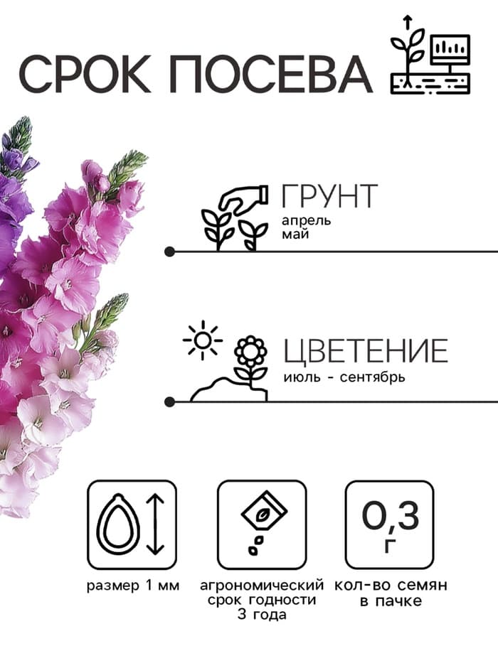 Семена цветов Дельфиниум «Гиацинт», 0.3 г, «АЭЛИТА»