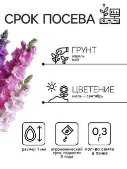 Семена цветов Дельфиниум «Гиацинт», 0.3 г, «АЭЛИТА»