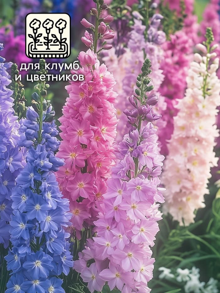 Семена цветов Дельфиниум «Гиацинт», 0.3 г, «АЭЛИТА»