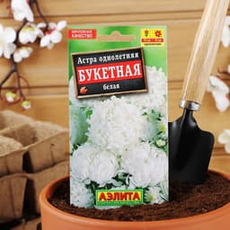 Семена цветов Астра «Букетная» белая, однолетник, 0.2 г, «АЭЛИТА»