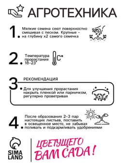 Семена цветов Бархатцы «Золотой великан», О, 0.1 г