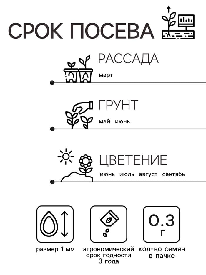Семена цветов Бархатцы «Апельсин» прямостоячие, однолетник, 0.3 г, «Агрофирма АЭЛИТА»