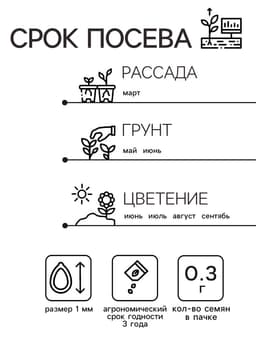 Семена цветов Бархатцы «Апельсин» прямостоячие, однолетник, 0.3 г, «Агрофирма АЭЛИТА»