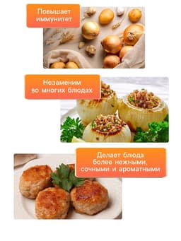 Семена Лук репчатый «Эксибишен», 0.3 г, «Аэлита»