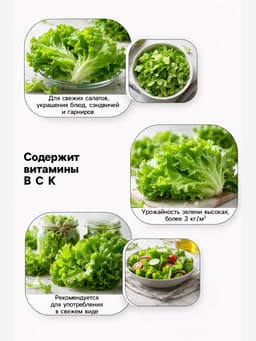 Семена Салат «Бутерброд» листовой, 0.5 г, «Аэлита»