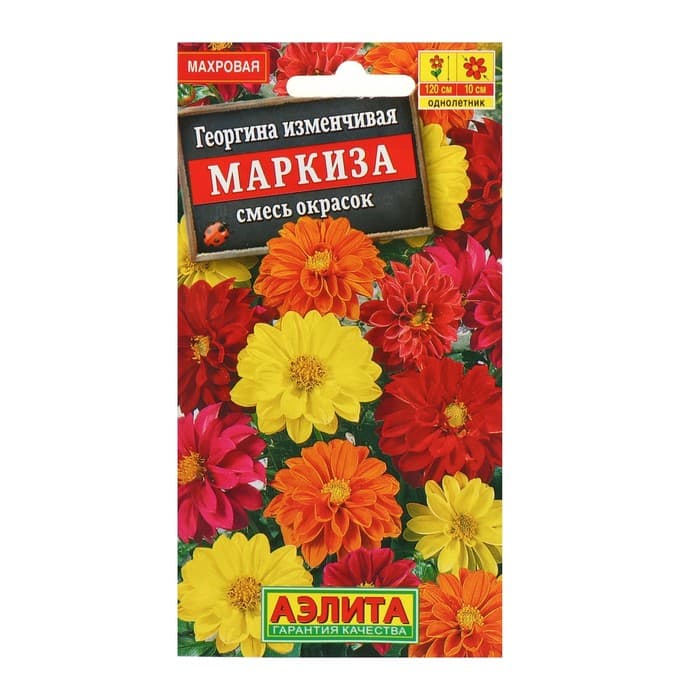 Семена цветов Георгина изменчивая «Маркиза», махровая, смесь, 10 шт.