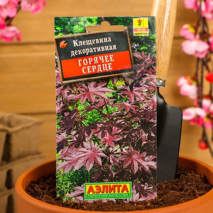 Семена Клещевина "Горячее сердце", О, 2 г