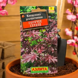 Семена Клещевина "Горячее сердце", О, 2 г