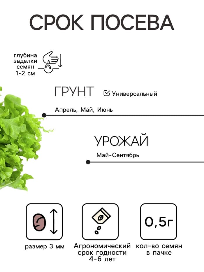 Семена Салат листовой «Букет», 0.5 г, «Аэлита. Лидер»