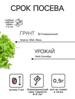 Семена Салат листовой «Букет», 0.5 г, «Аэлита. Лидер»