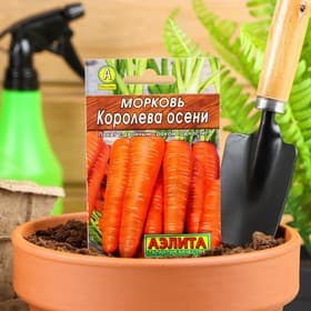 Семена Морковь «Королева осени», 2 г, «Аэлита»