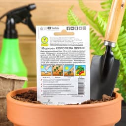Семена Морковь «Королева осени», 2 г, «Аэлита»