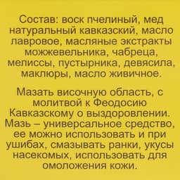 Мазь «Монастырская Феодосия Кавказского» от головной боли, «Бизорюк», 25 мл