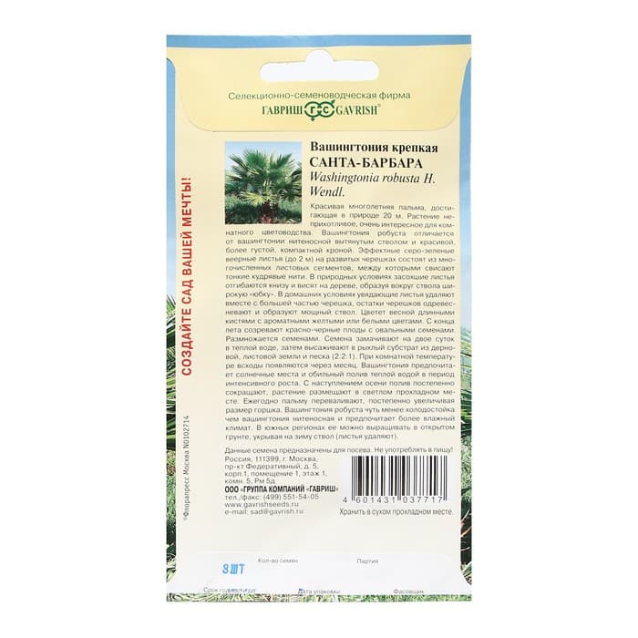 Семена комнатных цветов Вашингтония «Санта-Барбара», 3 шт.