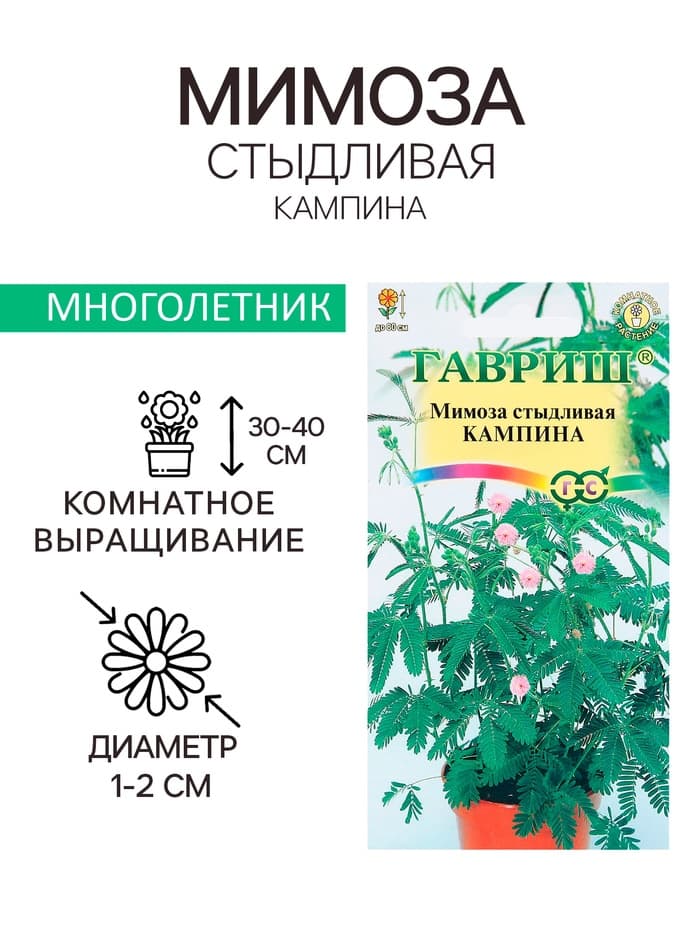 Семена комнатных цветов Мимоза «Кампина», 0.1 г, «Гавриш»