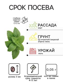 Семена Мята садовая «Ментол», 0.05 г, «Гавриш»