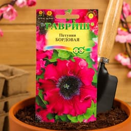 Семена цветов Петуния "Бордовая", ц/п, бахромчатая, О, пробирка, ц/п, 7 шт.