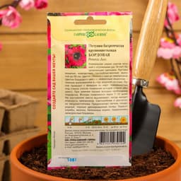 Семена цветов Петуния "Бордовая", ц/п, бахромчатая, О, пробирка, ц/п, 7 шт.