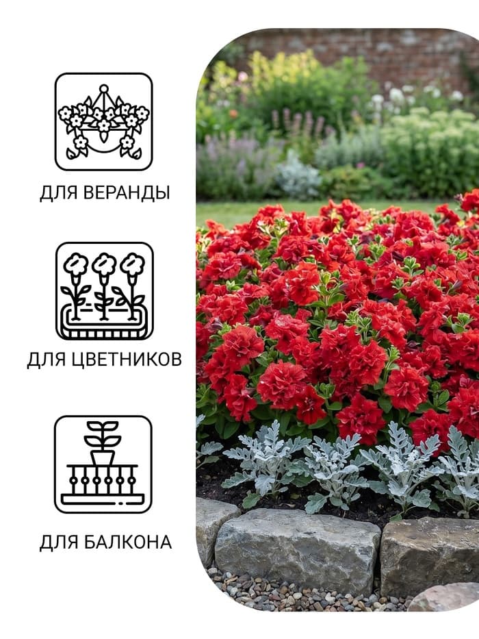 Семена цветов Петуния «Валентайн F1», махровая, крупноцветковая, однолетник, гранулы, «Гавриш»