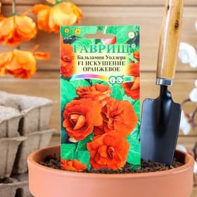 Семена цветов Бальзамин «Уоллера Искушение оранжевое», F1, однолетник, 4 шт., «Гавриш»