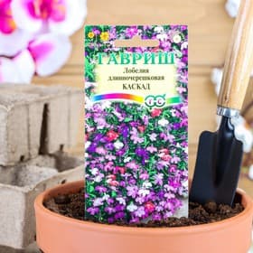 Семена цветов Лобелия «Каскад», ампельная, смесь, 0.01 г