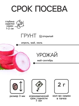 Семена Редис «Клюква в сахаре», скороспелый, 2 г