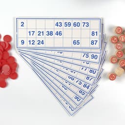 Русское лото деревянное Десятое Королевство «Русские узоры», 24 карточки, 100 фишек, 90 бочонков