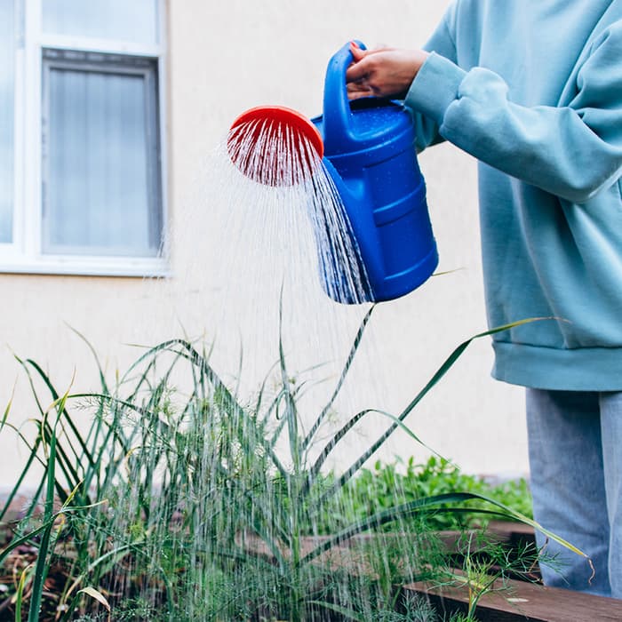 Лейка, 8 л, с рассеивателем, носик d=35 мм, цвет МИКС