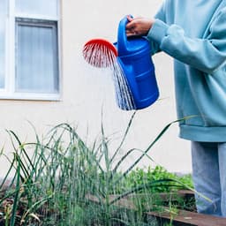 Лейка, 8 л, с рассеивателем, носик d=35 мм, цвет МИКС