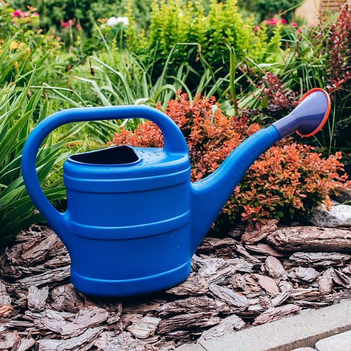 Лейка, 8 л, с рассеивателем, носик d=35 мм, цвет МИКС