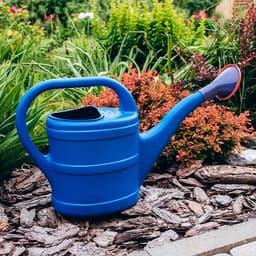 Лейка, 8 л, с рассеивателем, носик d=35 мм, цвет МИКС