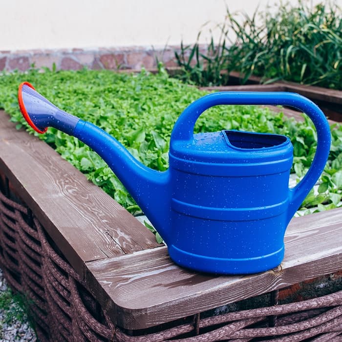 Лейка, 8 л, с рассеивателем, носик d=35 мм, цвет МИКС