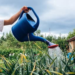 Лейка, 8 л, с рассеивателем, носик d=35 мм, цвет МИКС