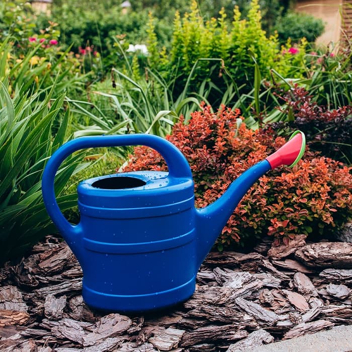 Лейка, 10 л, с рассеивателем, носик d=35 мм, цвет МИКС, «Классика»