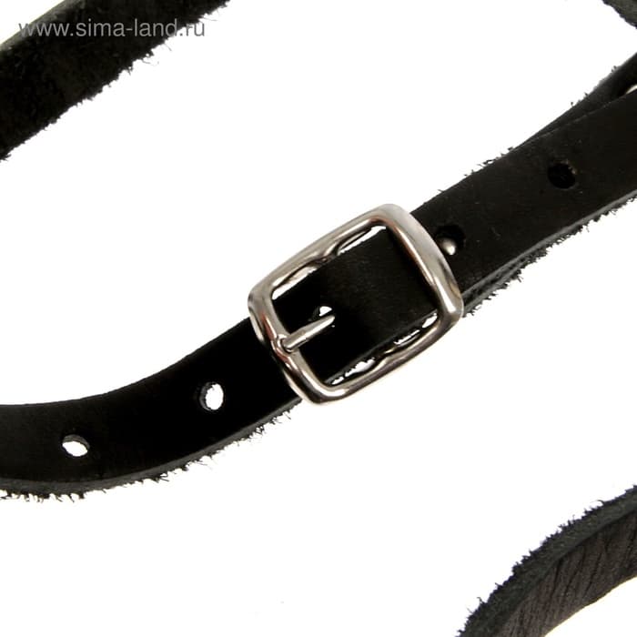 Намордник кожаный, цельнокроенный, длина по носу 6.5 см, ОМ 35 см, ротвейлер, чёрный