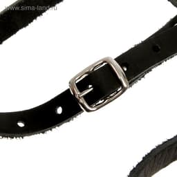 Намордник кожаный, цельнокроенный, длина по носу 6.5 см, ОМ 35 см, ротвейлер, чёрный