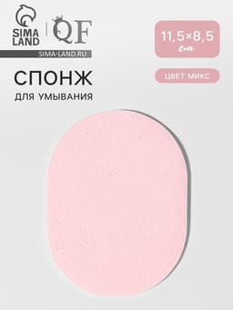 Спонж для умывания «Умывашка», 11.5×8.5 см, МИКС