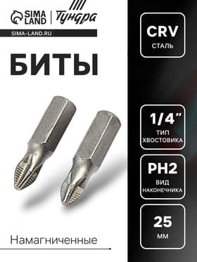 Биты ТУНДРА, намагниченные, сталь CrV, PH2×25 мм, 2 шт.