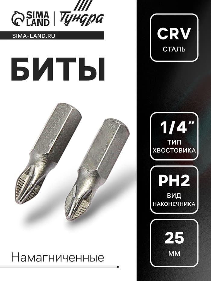 Биты ТУНДРА, намагниченные, сталь CrV, PH2×25 мм, 2 шт.