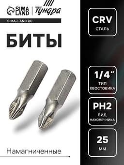 Биты ТУНДРА, намагниченные, сталь CrV, PH2×25 мм, 2 шт.